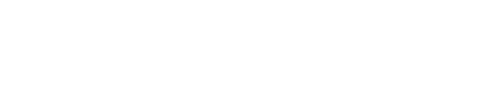 Budget logo
